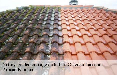 Nettoyage demoussage de toiture  cruviers-lascours-30360 Artisan Espinos