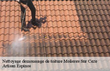 Nettoyage demoussage de toiture  molieres-sur-ceze-30410 Artisan Espinos