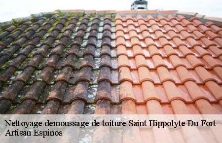 Nettoyage demoussage de toiture  saint-hippolyte-du-fort-30170 Artisan Espinos