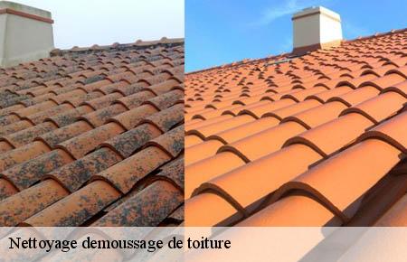 Nettoyage demoussage de toiture  saint-marcel-de-careiret-30330 Artisan Espinos