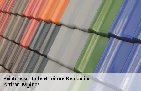Peinture sur tuile et toiture  remoulins-30210 Artisan Espinos