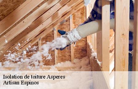 Isolation de toiture  asperes-30250 Artisan Espinos