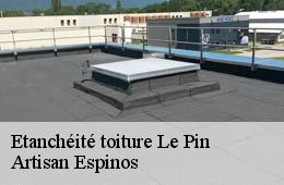 Etanchéité toiture  le-pin-30330 Artisan Espinos