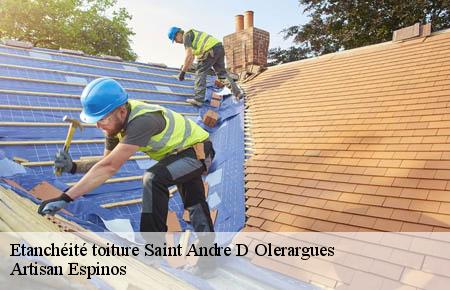 Etanchéité toiture  saint-andre-d-olerargues-30330 Artisan Espinos
