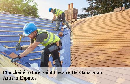 Etanchéité toiture  saint-cesaire-de-gauzignan-30360 Artisan Espinos