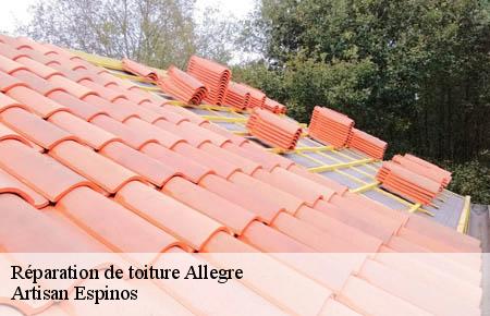 Réparation de toiture  allegre-30500 Artisan Espinos