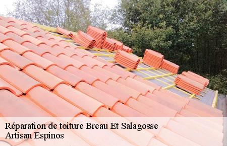 Réparation de toiture  breau-et-salagosse-30120 Artisan Espinos