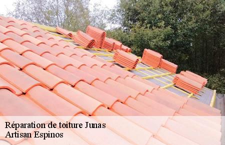 Réparation de toiture  junas-30250 Artisan Espinos