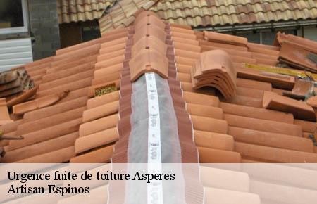 Urgence fuite de toiture  asperes-30250 Artisan Espinos