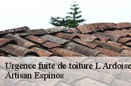 Urgence fuite de toiture  l-ardoise-30290 Artisan Espinos