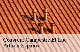 Couvreur  campestre-et-luc-30770 Artisan Espinos