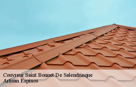 Couvreur  saint-bonnet-de-salendrinque-30460 Artisan Espinos