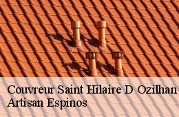Couvreur  saint-hilaire-d-ozilhan-30210 Artisan Espinos