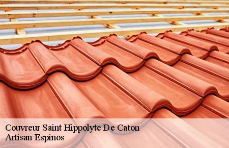 Couvreur  saint-hippolyte-de-caton-30360 Artisan Espinos