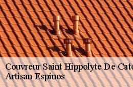 Couvreur  saint-hippolyte-de-caton-30360 Artisan Espinos