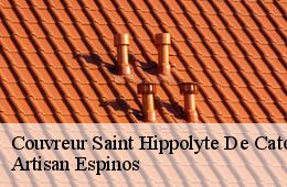 Couvreur  saint-hippolyte-de-caton-30360 Couvreurs gardois