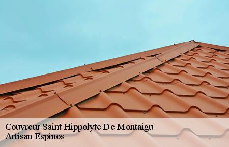 Couvreur  saint-hippolyte-de-montaigu-30700 Artisan Espinos