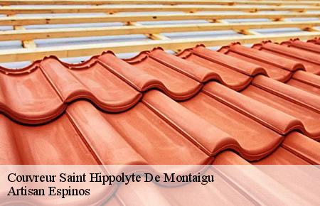 Couvreur saint-hippolyte-de-montaigu-30700 Artisan Espinos
