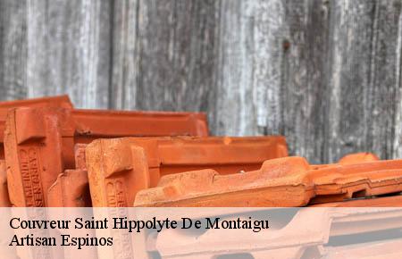 Couvreur  saint-hippolyte-de-montaigu-30700 Artisan Espinos