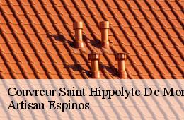 Couvreur  saint-hippolyte-de-montaigu-30700 Couvreurs gardois