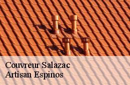 Couvreur  salazac-30760 Artisan Espinos