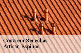 Couvreur  senechas-30450 Artisan Espinos