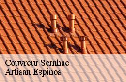 Couvreur  sernhac-30210 Artisan Espinos