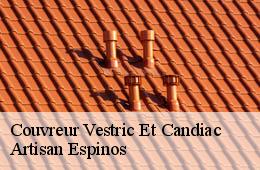 Couvreur  vestric-et-candiac-30600 Artisan Espinos