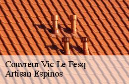 Couvreur  vic-le-fesq-30260 Artisan Espinos