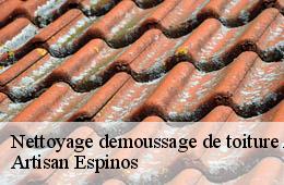 Nettoyage demoussage de toiture  aigaliers-30700 Artisan Espinos