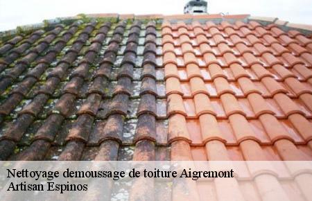 Nettoyage demoussage de toiture  aigremont-30350 Artisan Espinos