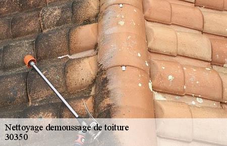 Nettoyage demoussage de toiture  aigremont-30350 Artisan Espinos