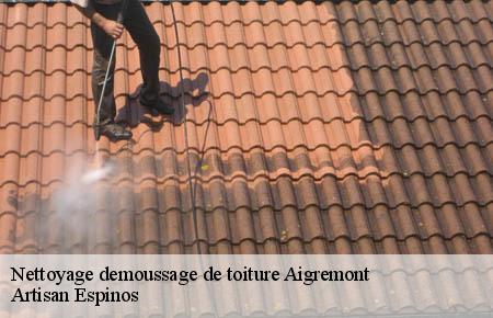 Nettoyage demoussage de toiture  aigremont-30350 Artisan Espinos