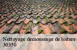 Nettoyage demoussage de toiture  aigremont-30350 Artisan Espinos