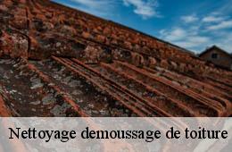 Nettoyage demoussage de toiture  aigremont-30350 Artisan Espinos