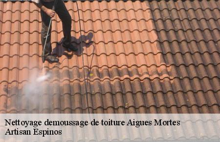 Nettoyage demoussage de toiture  aigues-mortes-30220 Artisan Espinos