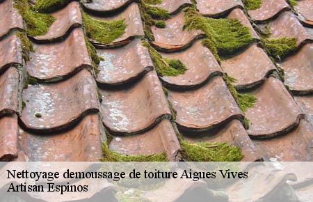 Nettoyage demoussage de toiture  aigues-vives-30670 Artisan Espinos