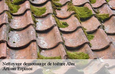 Nettoyage demoussage de toiture  ales-30100 Artisan Espinos