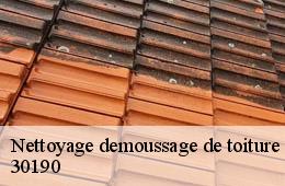 Nettoyage demoussage de toiture  aubussargues-30190 FJ Rénovation Couverture
