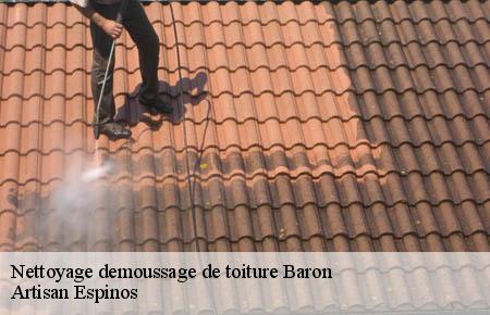 Nettoyage demoussage de toiture  baron-30700 Artisan Espinos