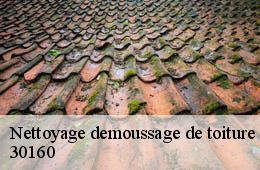 Nettoyage demoussage de toiture  besseges-30160 Artisan Espinos