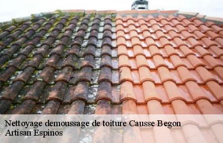 Nettoyage demoussage de toiture  causse-begon-30750 Artisan Espinos