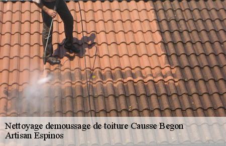 Nettoyage demoussage de toiture  causse-begon-30750 Artisan Espinos