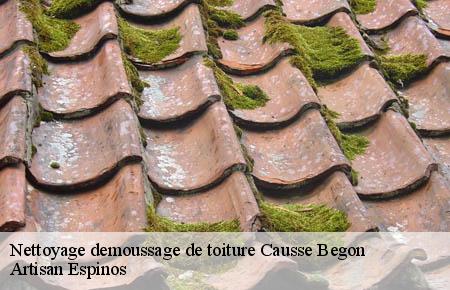Nettoyage demoussage de toiture  causse-begon-30750 Couvreurs gardois