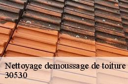 Nettoyage demoussage de toiture  chamborigaud-30530 Artisan Espinos