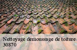 Nettoyage demoussage de toiture  clarensac-30870 Artisan Espinos