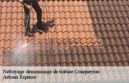 Nettoyage demoussage de toiture  conqueyrac-30170 FJ Rénovation Couverture