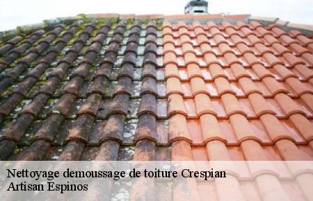Nettoyage demoussage de toiture  crespian-30260 Artisan Espinos
