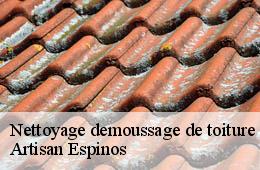 Nettoyage demoussage de toiture  foissac-30700 Artisan Espinos