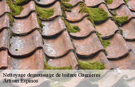 Nettoyage demoussage de toiture  gagnieres-30160 Artisan Espinos